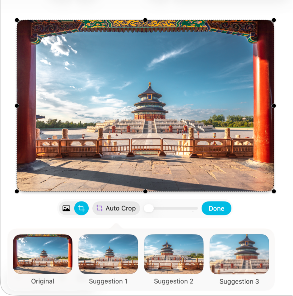 Một bảng Freeform với các công cụ cắt xén được mở và một số gợi ý Tự động cắt xén được cung cấp.