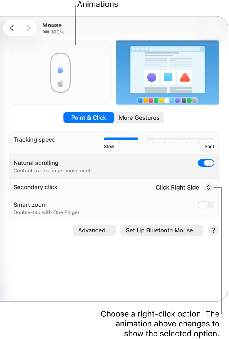 Mouse options in System Settings showing the secondary click option set to Click Right Side and the corresponding animation.