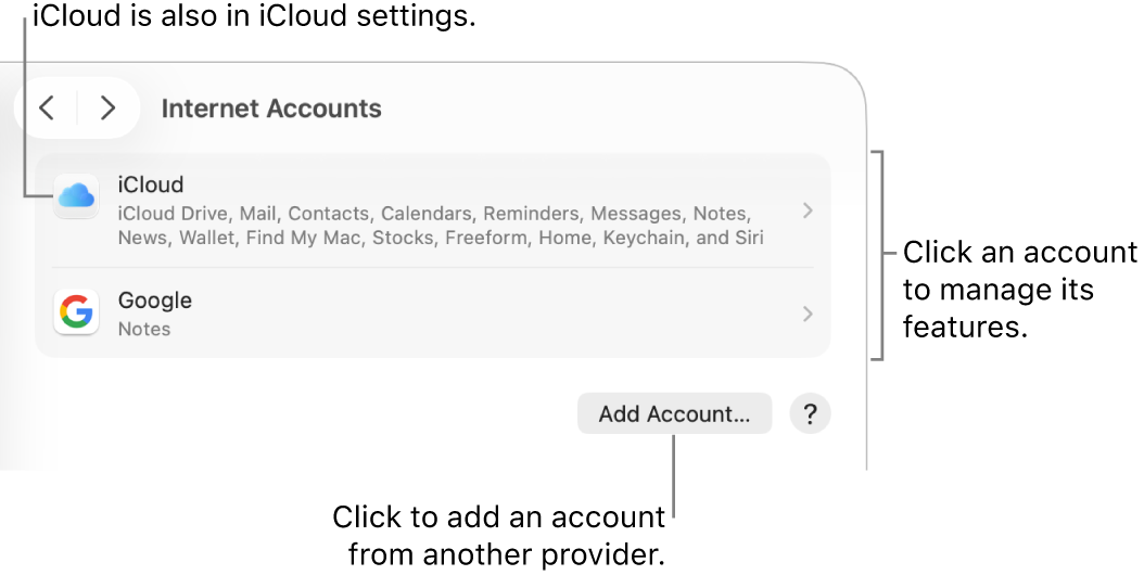Internet Accounts settings with accounts that are set up on the Mac listed.