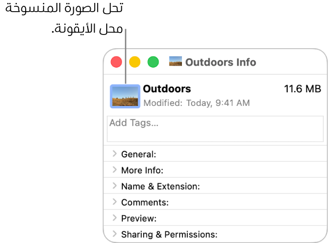 نافذة المعلومات لمجلد، تعرض استبدال الأيقونة العامة بصورة.