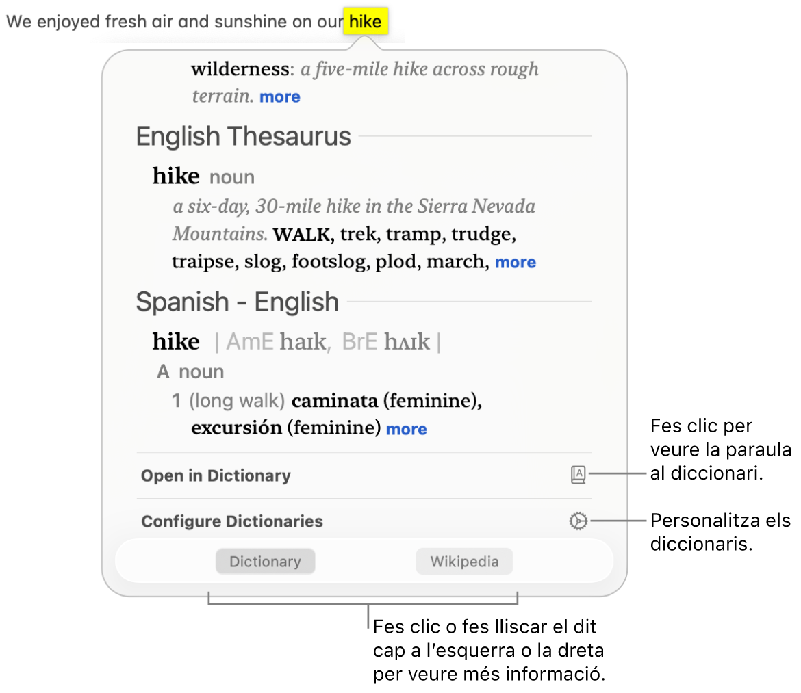 La finestra “Consulta”, que mostra les definicions d’una paraula del Diccionari i del “Diccionari de sinònims”.