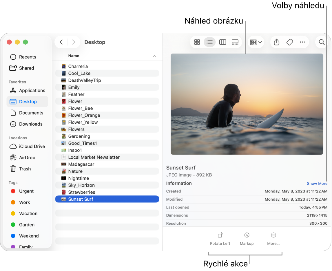 Okno Finderu s bočním panelem Finderu vlevo a s vybraným obrázkovým souborem uprostřed okna. Vpravo panel Náhled ukazuje, jak obrázek vypadá, detaily obrázku se nacházejí pod tím a tlačítka pro rychlé akce v dolní části.