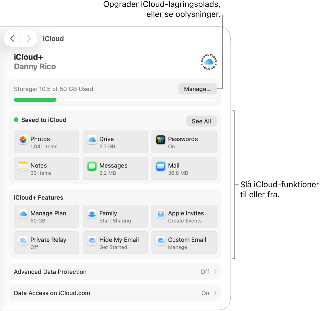 iCloud-indstillinger til de mest almindelige funktioner.