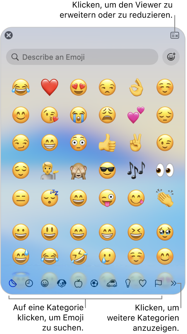 Die Zeichenübersicht. Klicke unten in eine Kategorie, um Zeichen oder Symbole anzuzeigen. Gib in das Suchfeld den Namen oder den Code eines Symbols ein, um das spezifische Zeichen zu finden. Klicke in der Ecke rechts oben, um die Übersicht zu erweitern oder zu reduzieren.