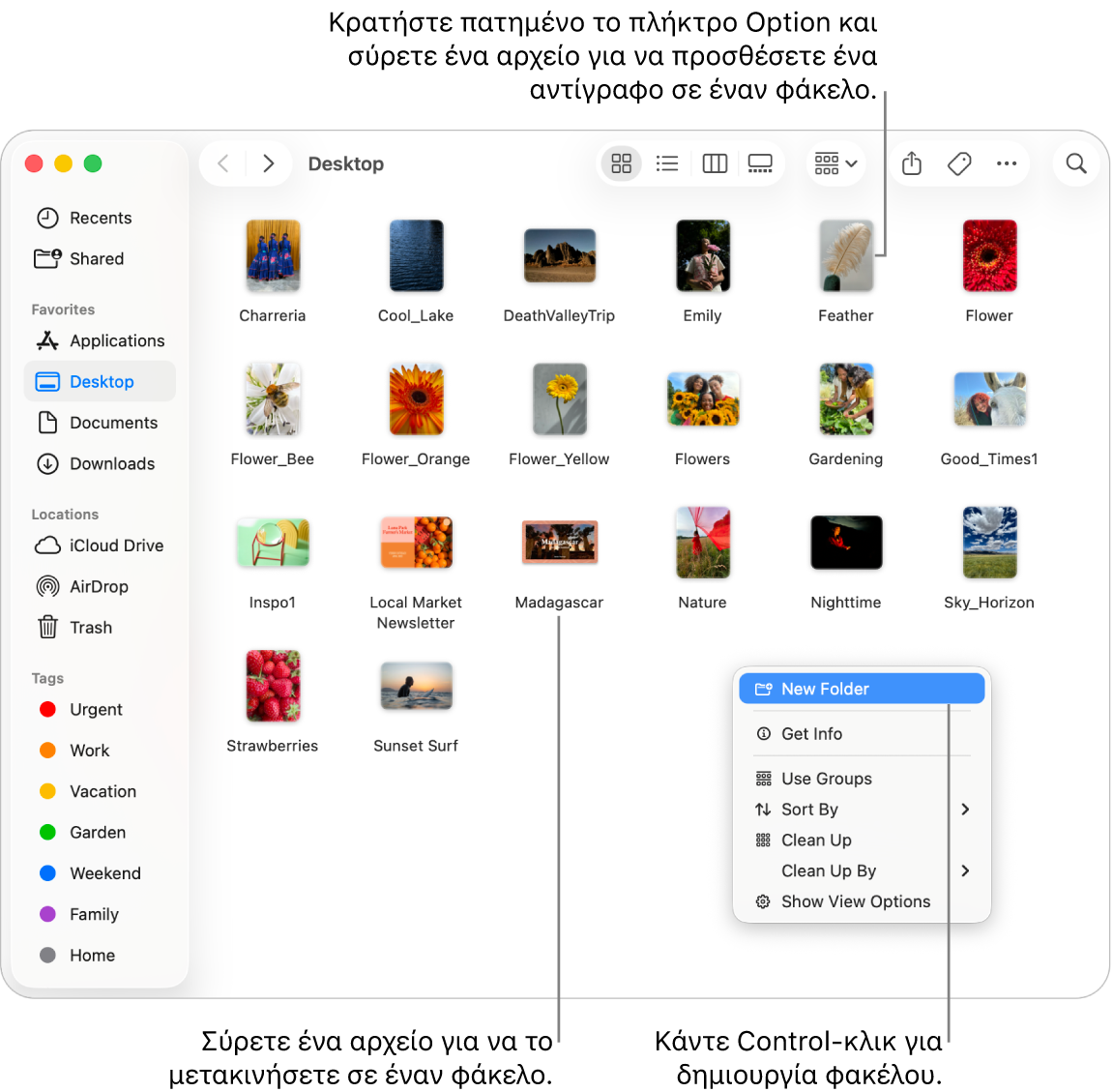 Ένα παράθυρο του Finder που περιέχει αρχεία και φακέλους. Στο μενού συντόμευσης, επισημαίνεται η εντολή «Νέος φάκελος».