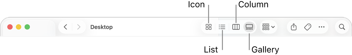 The top of a Finder window showing View option buttons for a folder.