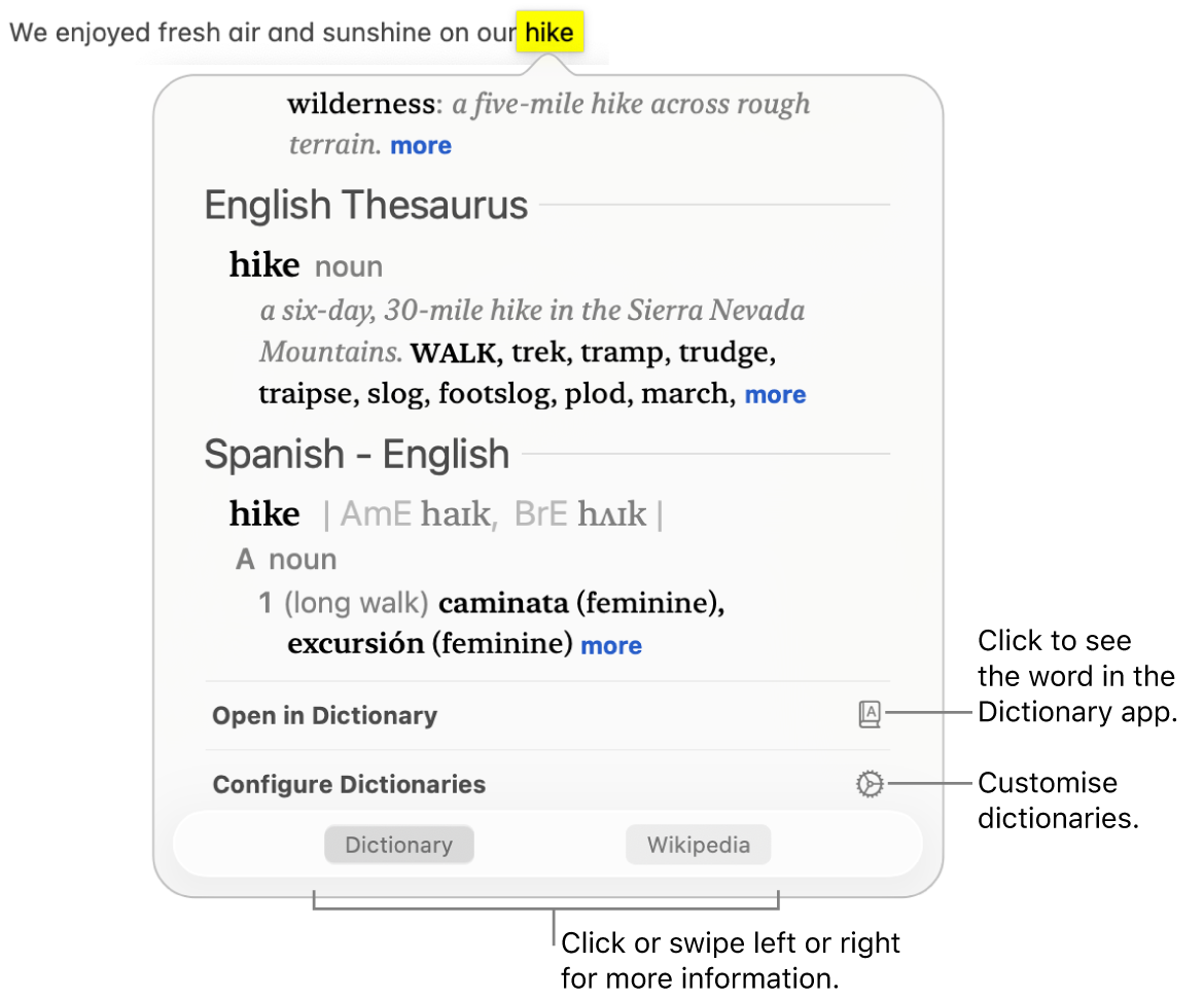 The Look Up window showing Dictionary and Thesaurus definitions for a word.