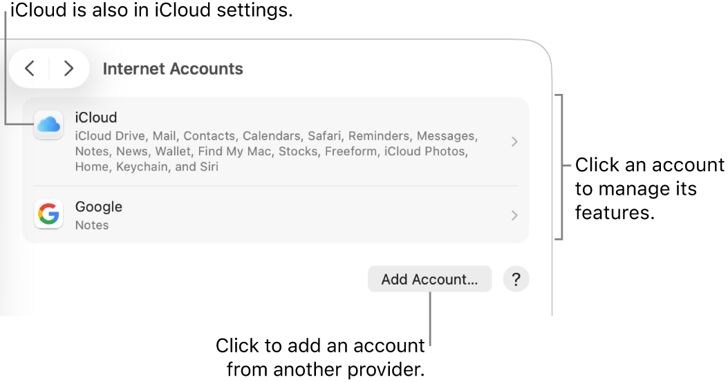 Internet Accounts settings with accounts that are set up on the Mac listed.
