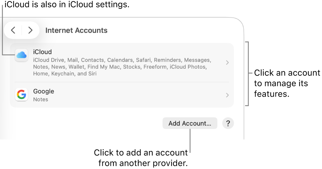 Internet Accounts settings with accounts that are set up on the Mac listed.