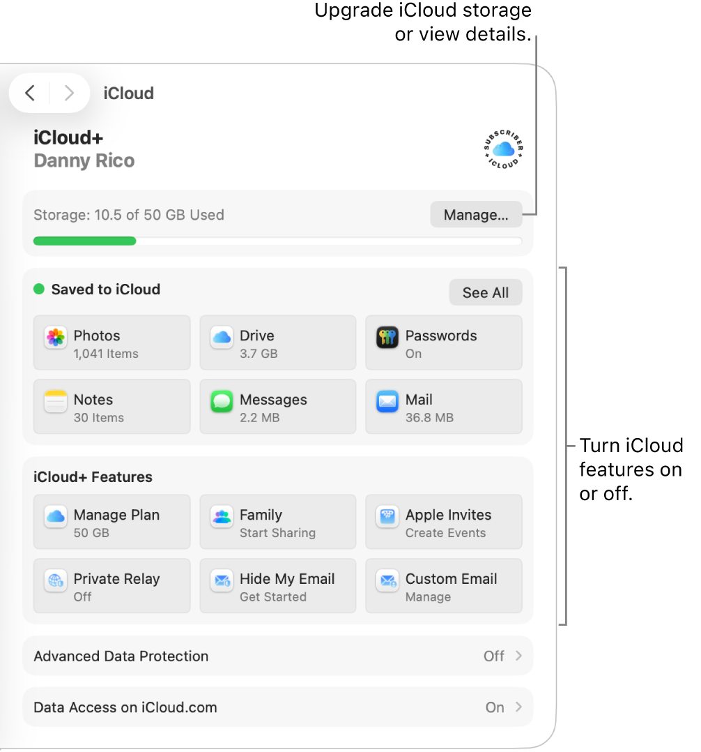 iCloud settings for the most commonly used features.