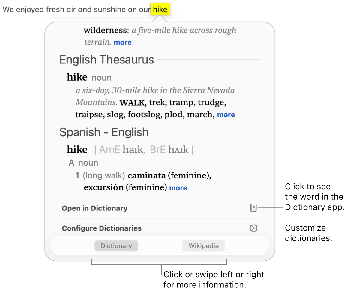 The Look Up window showing Dictionary and Thesaurus definitions for a word.