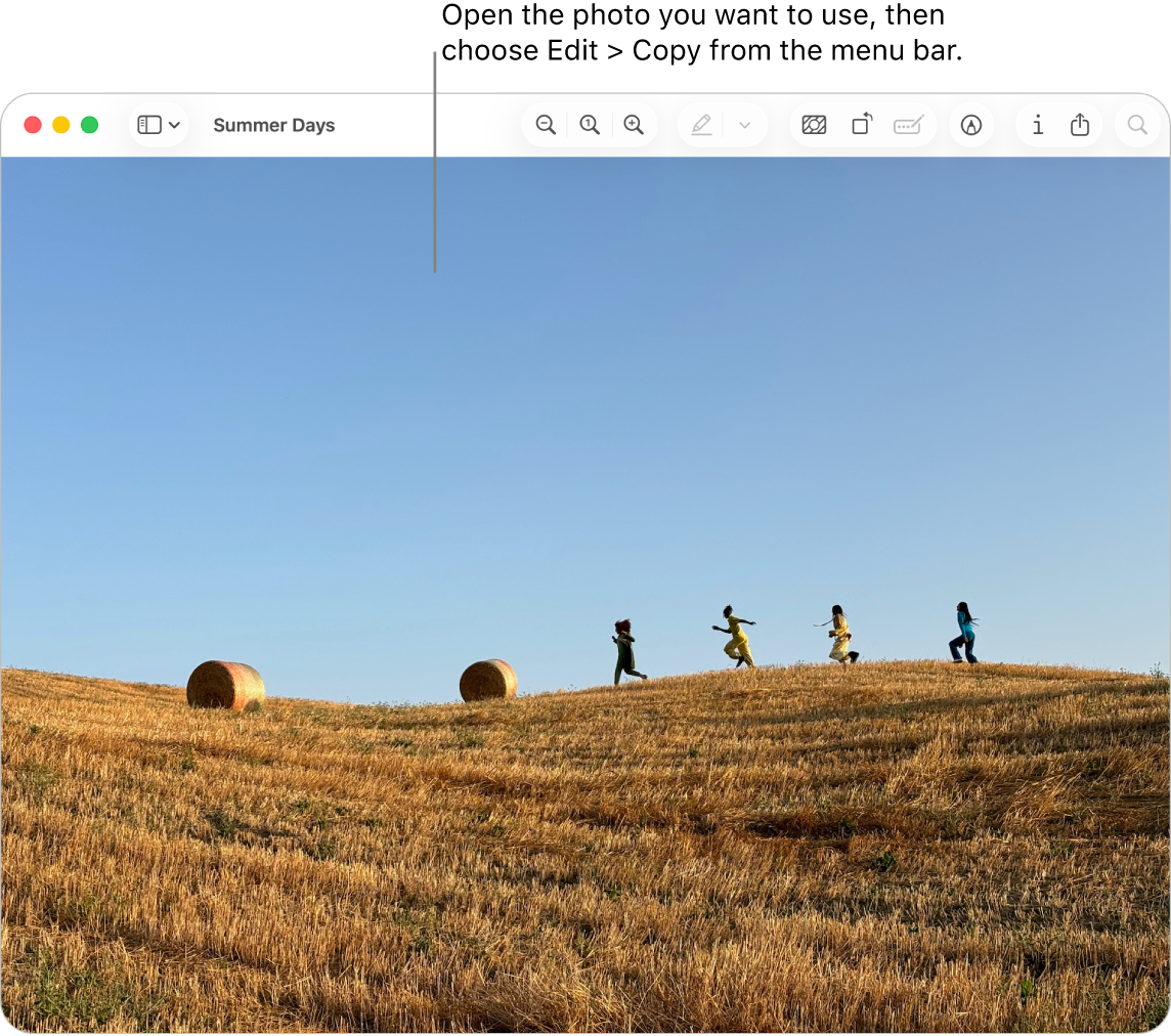 The Preview app showing a picture to be copied.