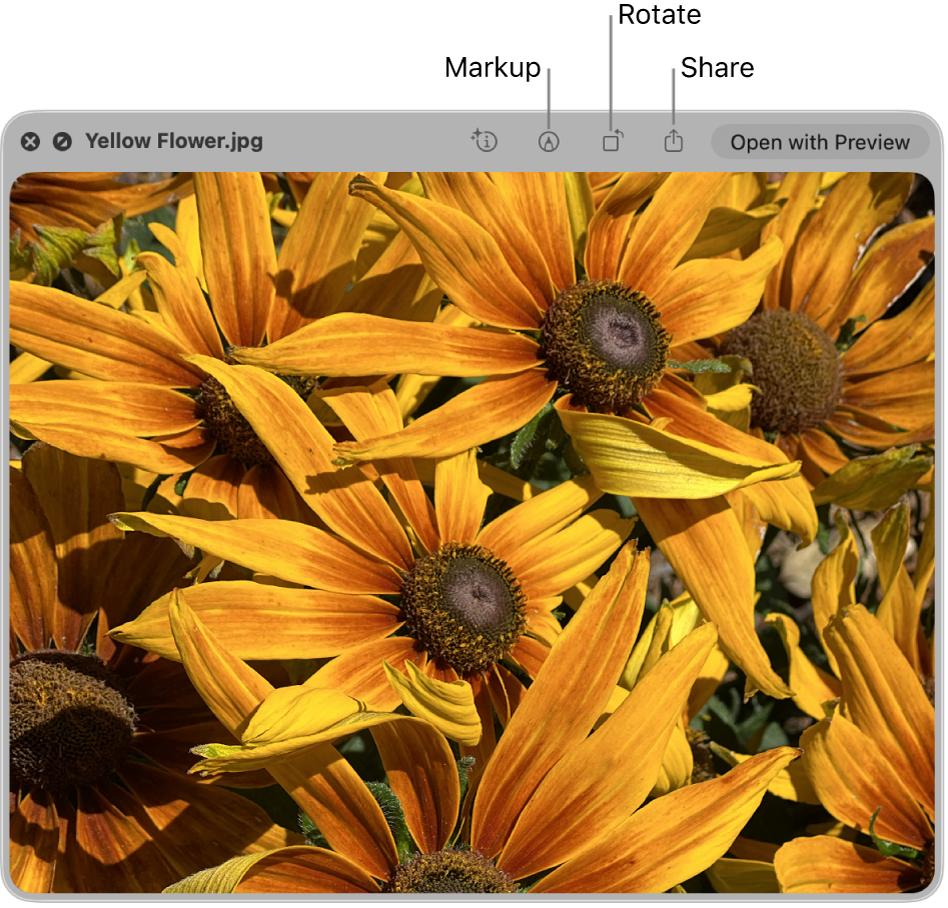 An image in the Quick Look window with buttons to mark up, rotate, or share the image, or open it in the Preview app.