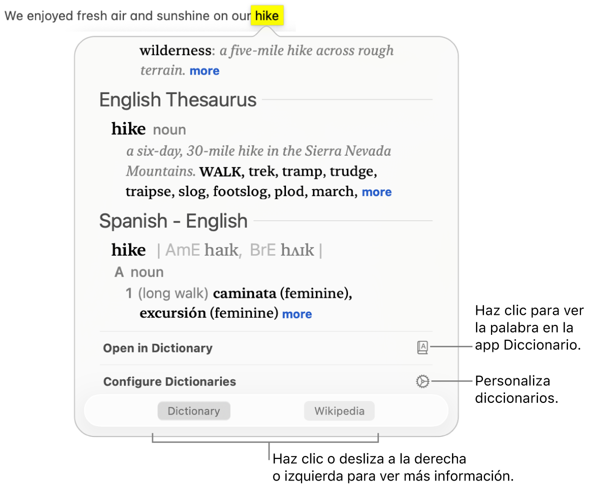 La ventana Consultar mostrando las definiciones de diccionario y tesauros para una palabra.