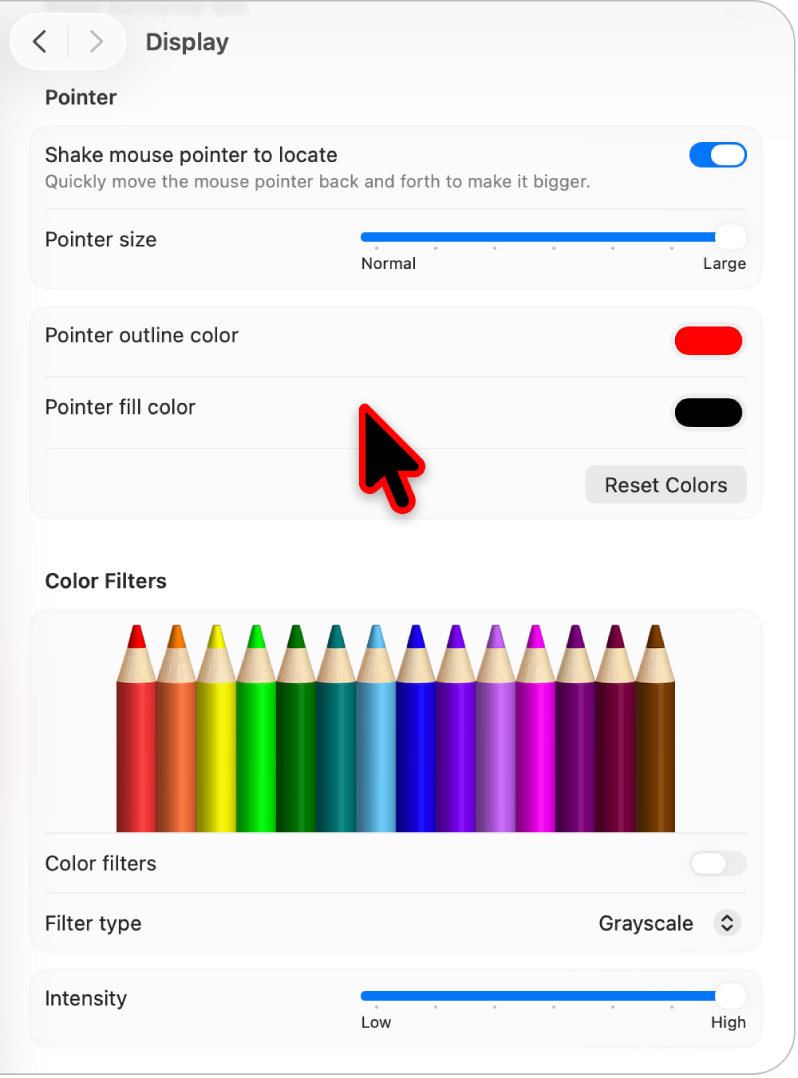 Panel de ajustes Pantalla de Accesibilidad que muestra un puntero grande con un contorno de color personalizado.