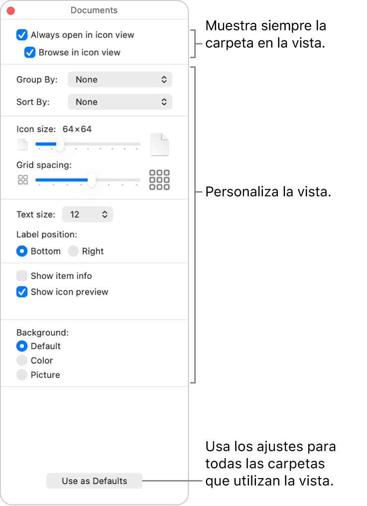 Opciones de visualización de los iconos de una carpeta.