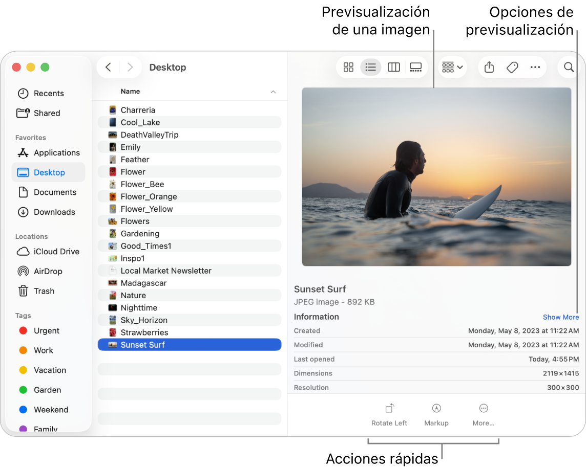 Una ventana del Finder que muestra la barra lateral del Finder a la izquierda y un archivo de imagen seleccionada en la sección central de la ventana. A la derecha, el panel de previsualización muestra el aspecto de la imagen, con la información detallada de la imagen debajo y los botones de “Acciones rápidas” al final.