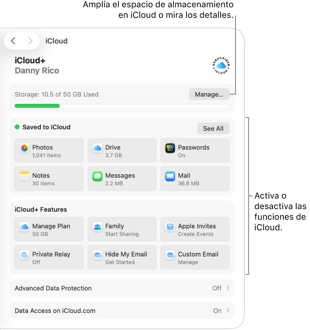 Ajustes de iCloud para las funciones más usadas.
