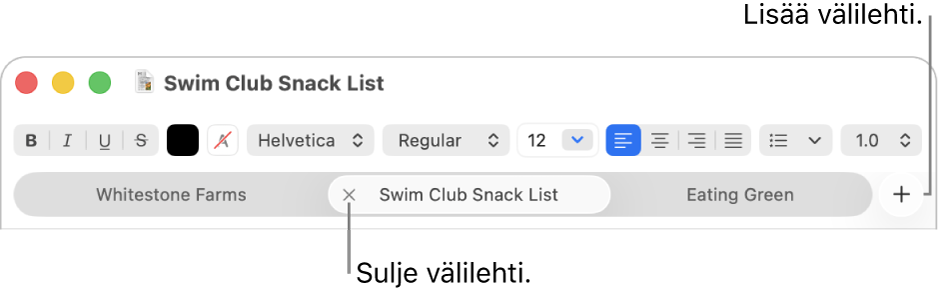TeXturi-ikkuna, jossa on kolme välilehteä välilehtipalkissa muotoilupalkin alla. Yksi välilehti näyttää Sulje-painikkeen. Lisää-painike sijaitsee välilehtipalkin oikeassa reunassa.