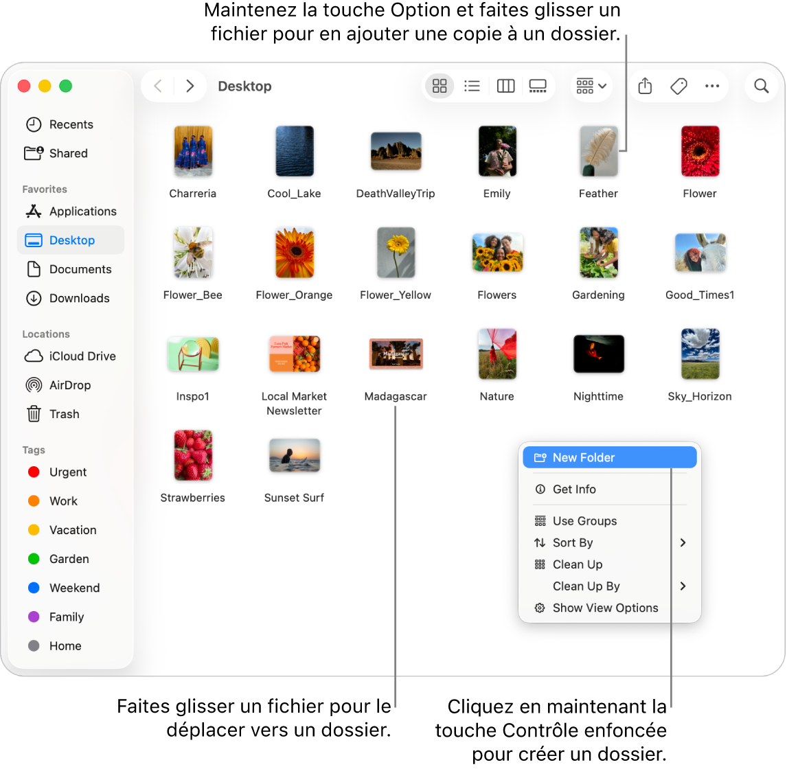 Une fenêtre du Finder qui contient des fichiers et des dossiers. Dans le menu contextuel, Nouveau dossier est surligné.
