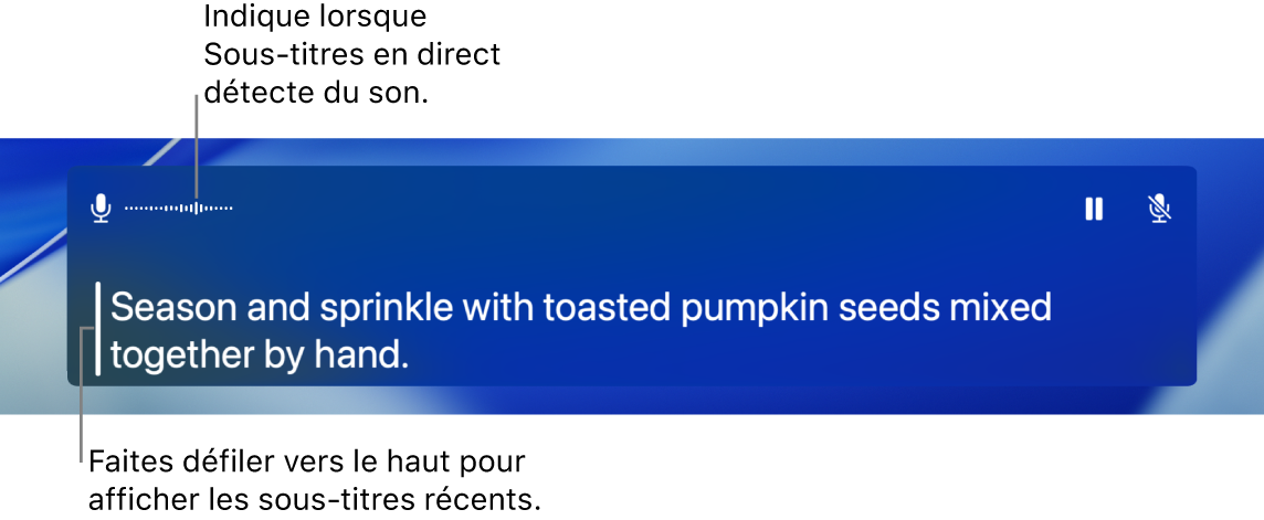 Une transcription en temps réel de l’audio du micro de l’ordinateur est affichée sous la forme de texte que vous pouvez faire défiler dans la fenêtre « Sous-titres en direct ».