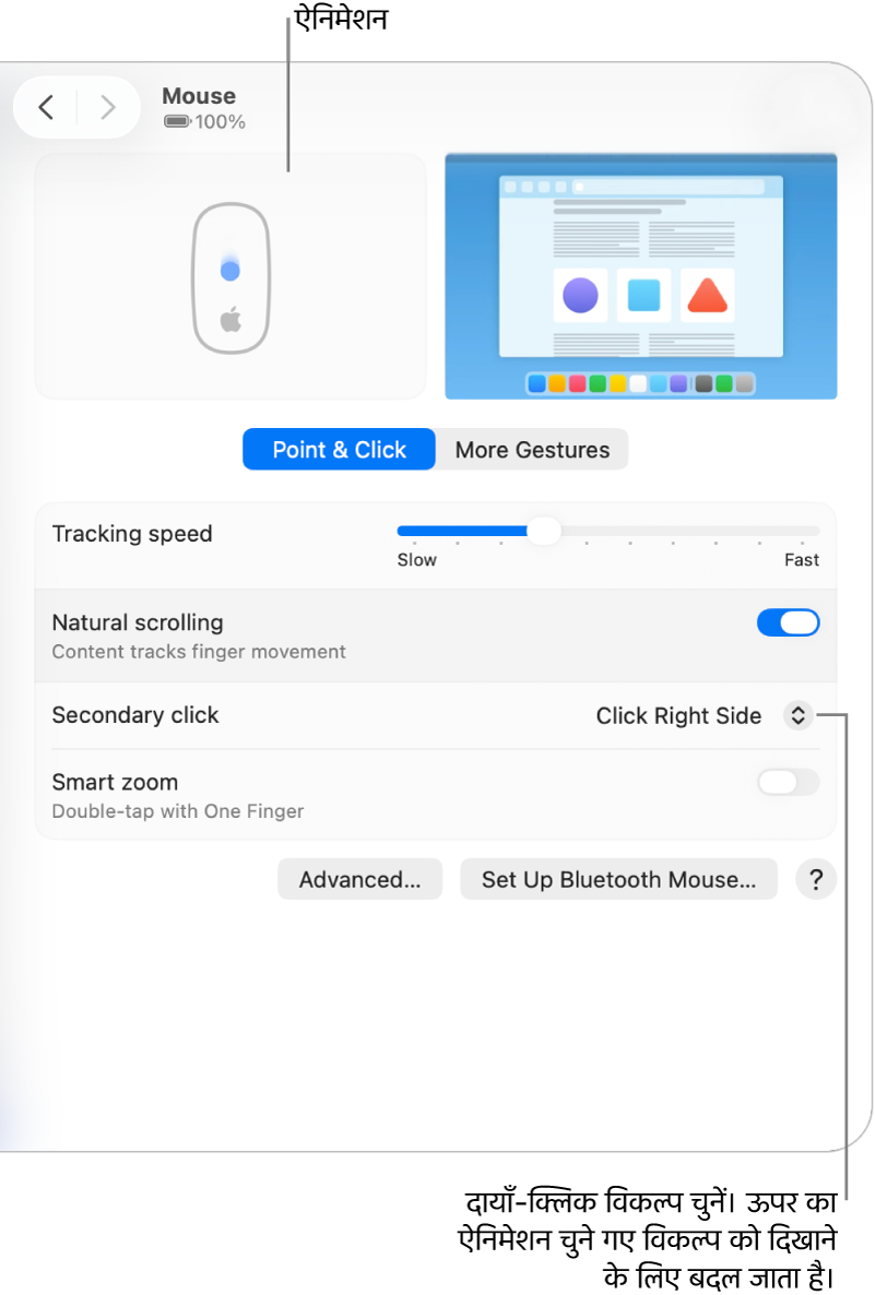 सिस्टम सेटिंग्ज़ में माउस विकल्प सेकेंडरी क्लिक विकल्प प्रदर्शित करता है जो दाईं तरफ़ क्लिक करने पर और समकक्ष ऐनिमेशन पर सेट हैं।