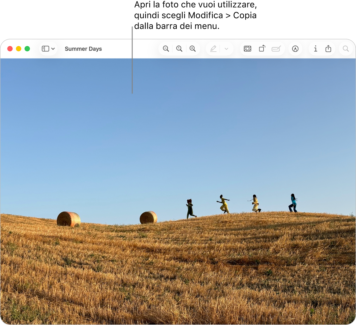 L’app Anteprima che mostra un’immagine da copiare.