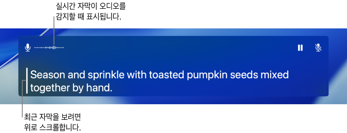 컴퓨터의 마이크 오디오의 실시간 전사문은 실시간 자막 윈도우에서 스크롤 가능한 텍스트로 표시됨.