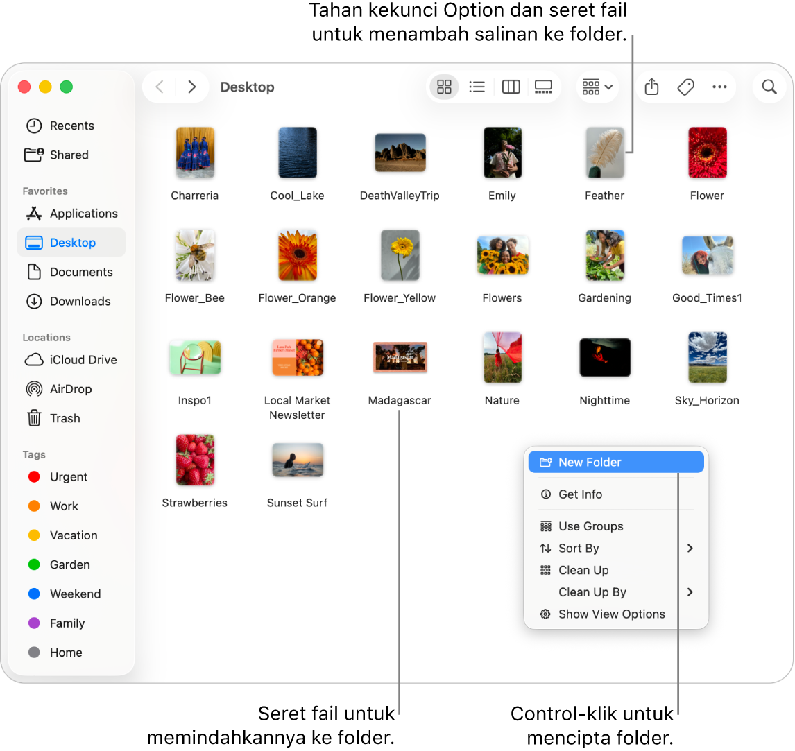 Tetingkap Finder yang mengandungi fail dan folder. Dalam menu pintasan, Folder Baharu diserlahkan.