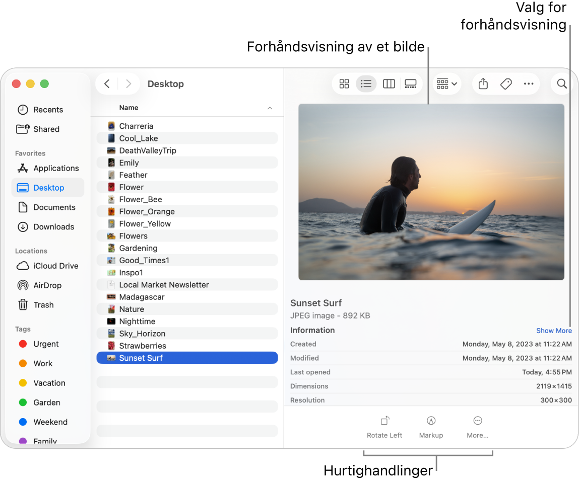 Et Finder-vindu som viser Finder-sidepanelet til venstre og en markert bildefil i midten av vinduet. I forhåndsvisningspanelet til høyre kan du se hvordan bildet ser ut, og under vises detaljer om bildet og nederst vises Hurtighandlinger-knappene.
