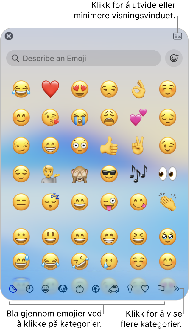 Tegnvisning-vinduet. Klikk på en kategori nederst for å bla gjennom tegn eller symboler. Skriv inn et symbolnavn eller en symbolkode i søkefeltet for å finne et bestemt tegn. Klikk i øvre høyre hjørne for å utvide eller minimere visningen.