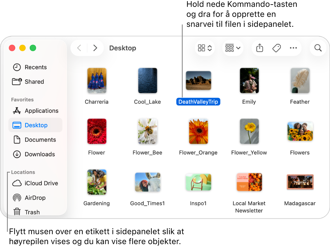 Til høyre for Plasseringer i Finder-sidepanelet er det en pil du kan klikke på for å vise flere objekter. En fil markeres i Finder-vinduet til høyre, og en snarvei til filen vises i sidepanelet, under Favoritter.