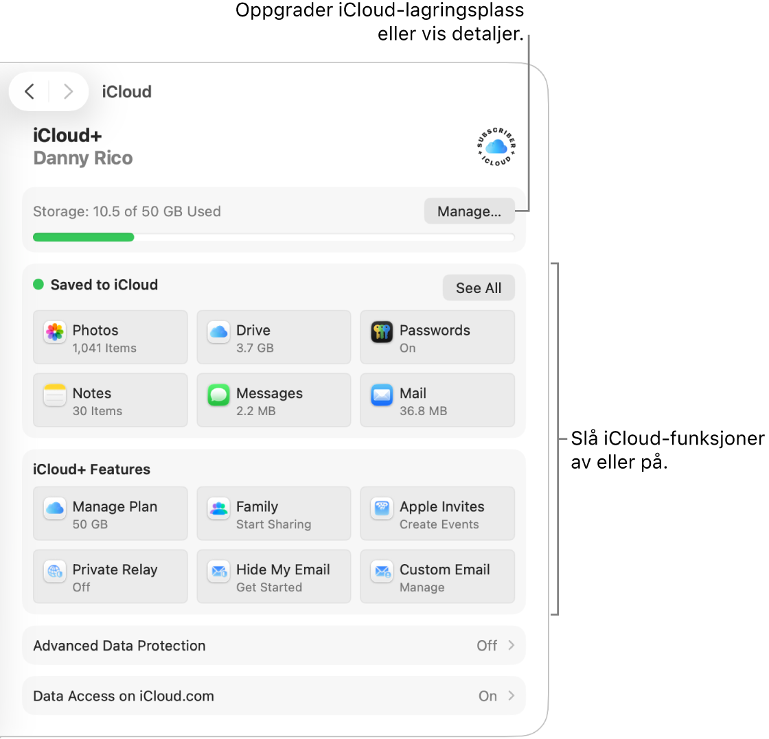iCloud-innstillinger for de mest brukte funksjonene.
