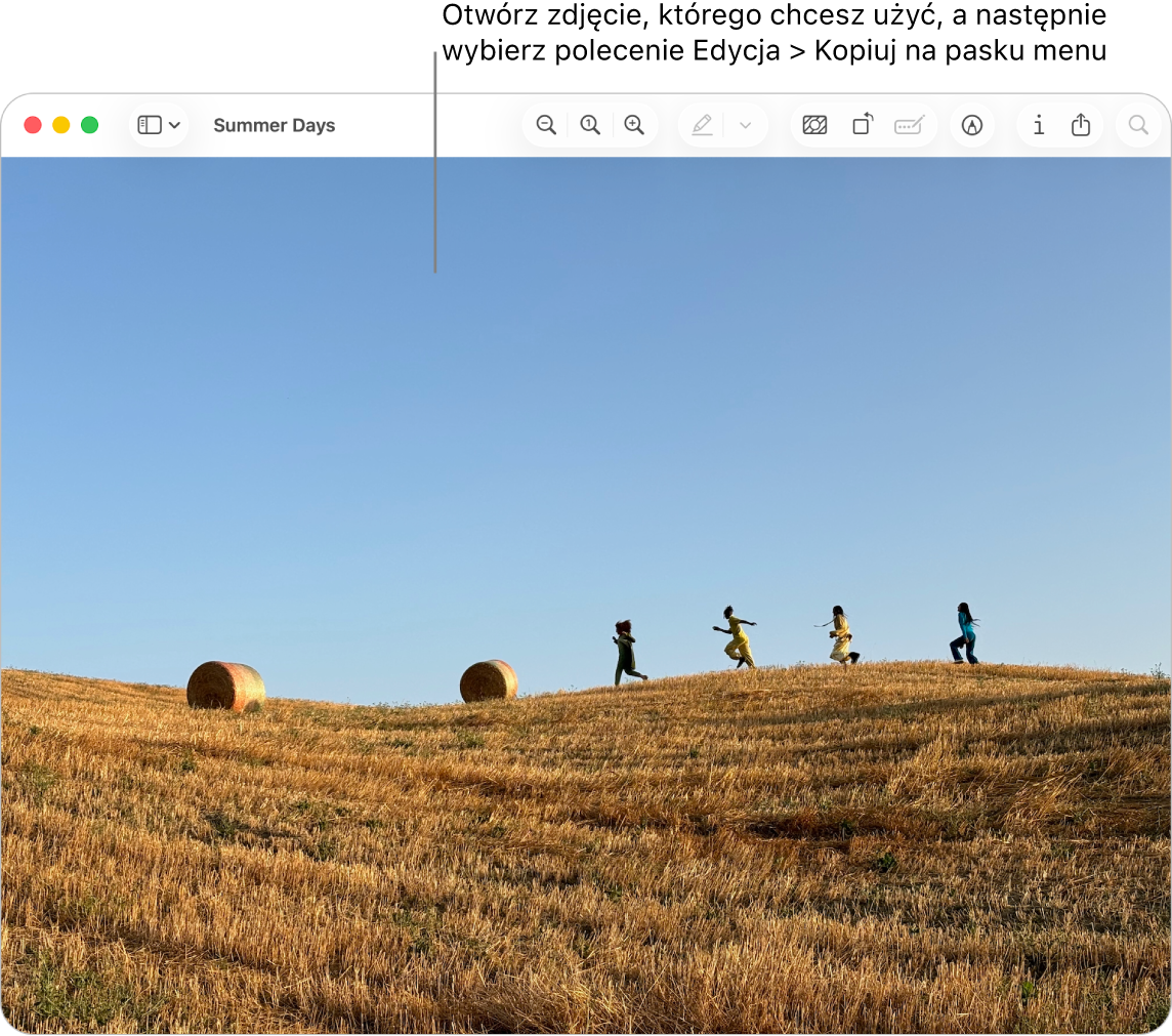 Aplikacja Podgląd wyświetlająca obrazek, który ma zostać skopiowany.