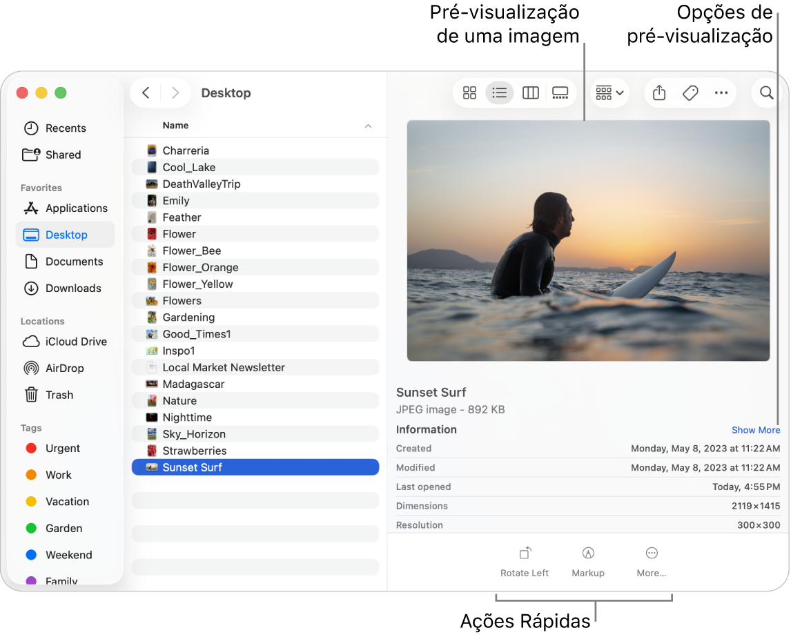 Janela do Finder mostrando a barra lateral do Finder à esquerda e um arquivo de imagem selecionado no meio da janela. À direita, o painel de Pré-visualização mostra a imagem, com detalhes da imagem abaixo e os botões de Ações Rápidas na parte inferior.