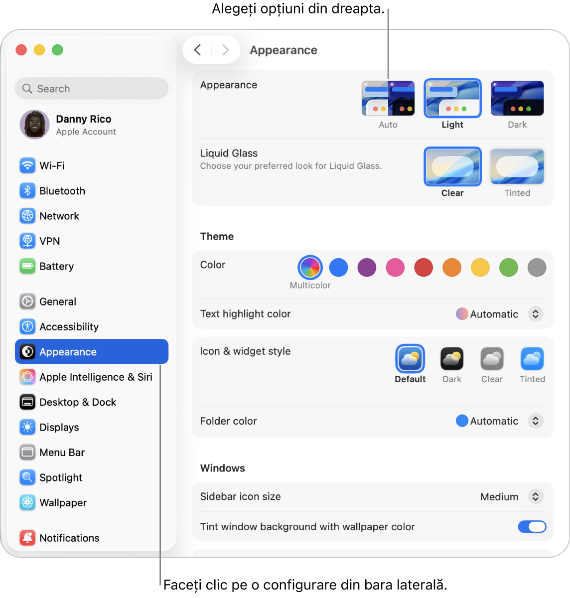 Fereastra Configurări sistem, cu configurările Aspect selectate în bara laterală și opțiunile Aspect în dreapta.