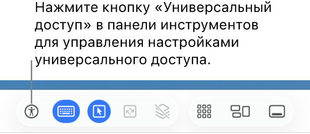 Показана кнопка Универсального доступа в панели инструментов приложения «Общий экран».