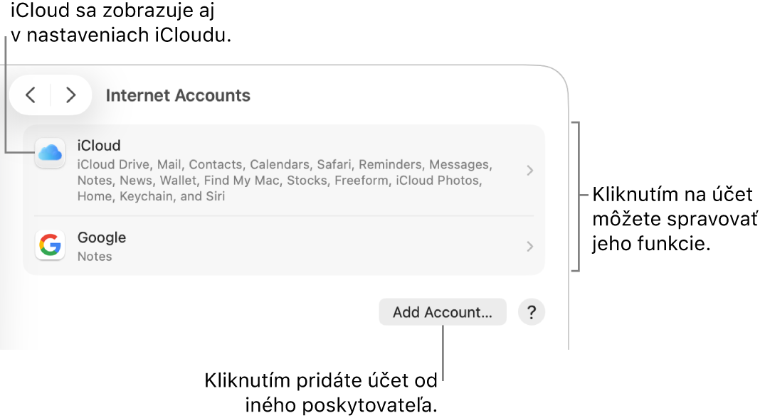 Nastavenia Internetové účty so zoznamom účtov, ktoré sú nastavené na Macu.