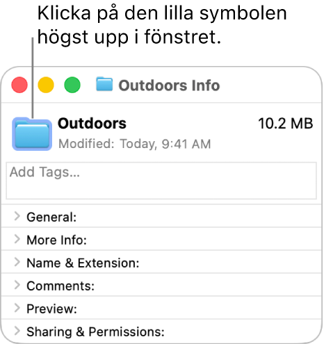 Infofönstret med en mapp som visar den generiska symbolen för mappen som markerats.