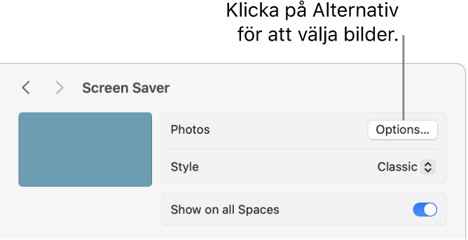 Överkanten på fönstret Systeminställningar som visar alternativ för Bilder.