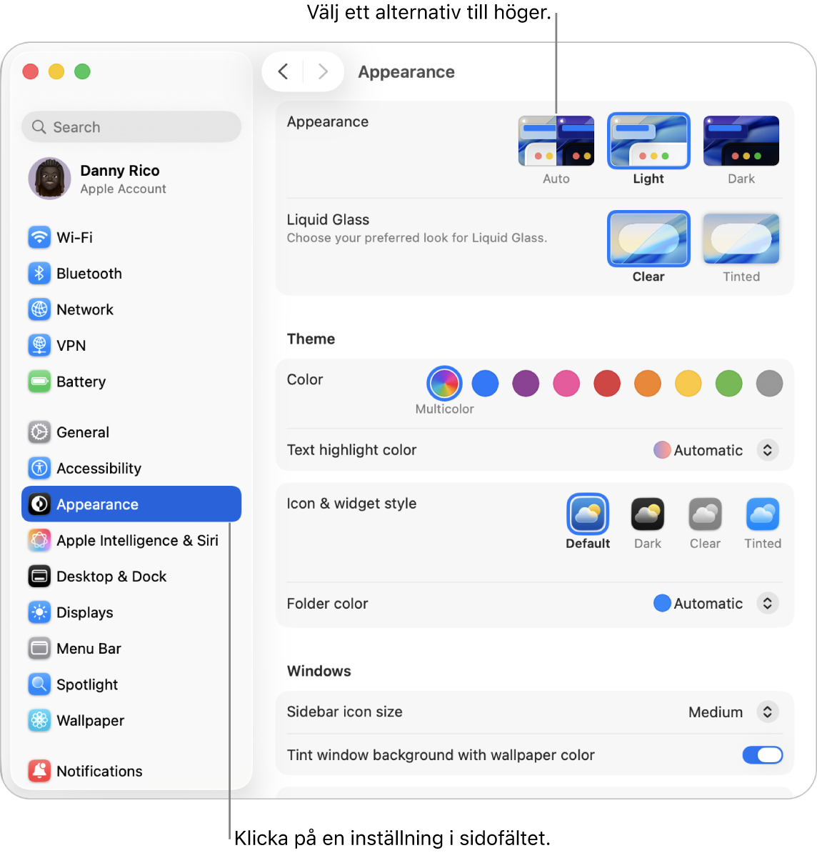 Fönstret Systeminställningar med inställningarna Utseende markerade i sidofältet och alternativen för Utseende till höger.