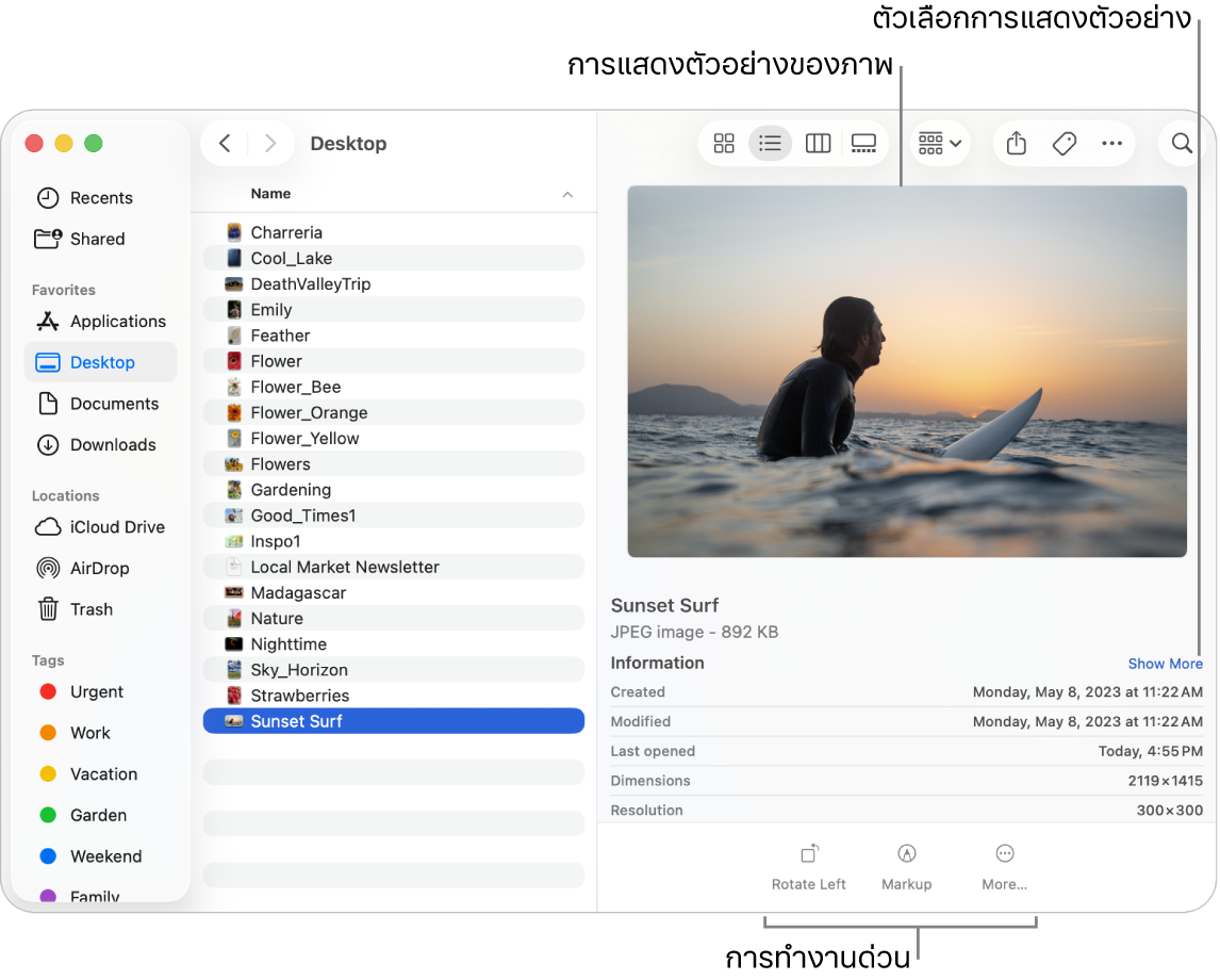 หน้าต่าง Finder ที่แสดงแถบด้านข้าง Finder ทางซ้ายและไฟล์ภาพที่เลือกตรงกลางของหน้าต่าง ทางด้านขวา บานหน้าต่างการแสดงตัวอย่างแสดงตัวอย่างภาพที่มีรายละเอียดภาพด้านล่างและปุ่มการทำงานด่วนอยู่ด้านล่างสุด