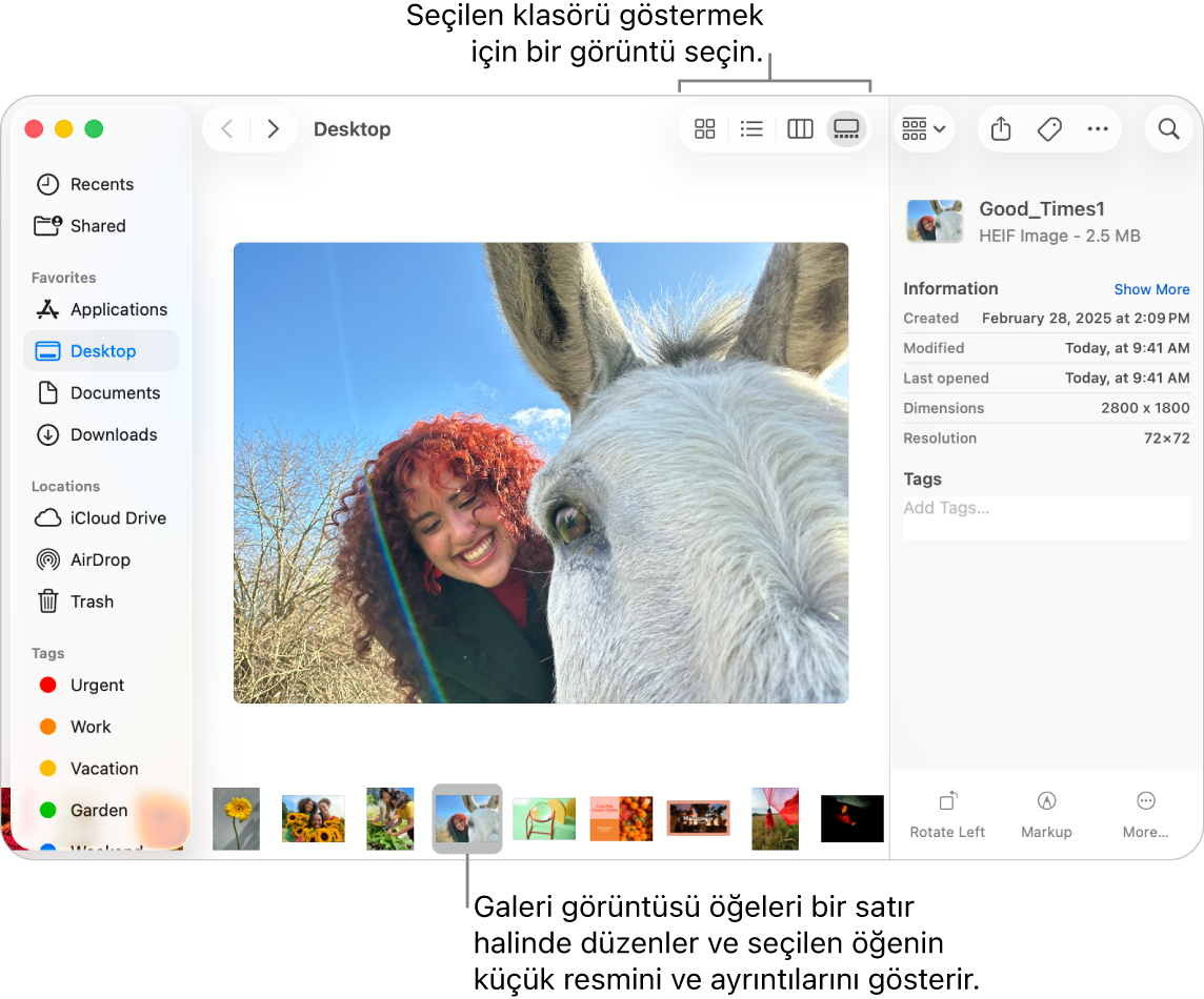 Solda Finder kenar çubuğunu ve pencerenin en altında seçili bir görüntü dosyasını gösteren Finder penceresi. Ortada, Önizleme bölümü görüntünün neye benzediğini, görüntü ayrıntılarını ve sağda da Hızlı Eylemler düğmelerini gösteriyor.