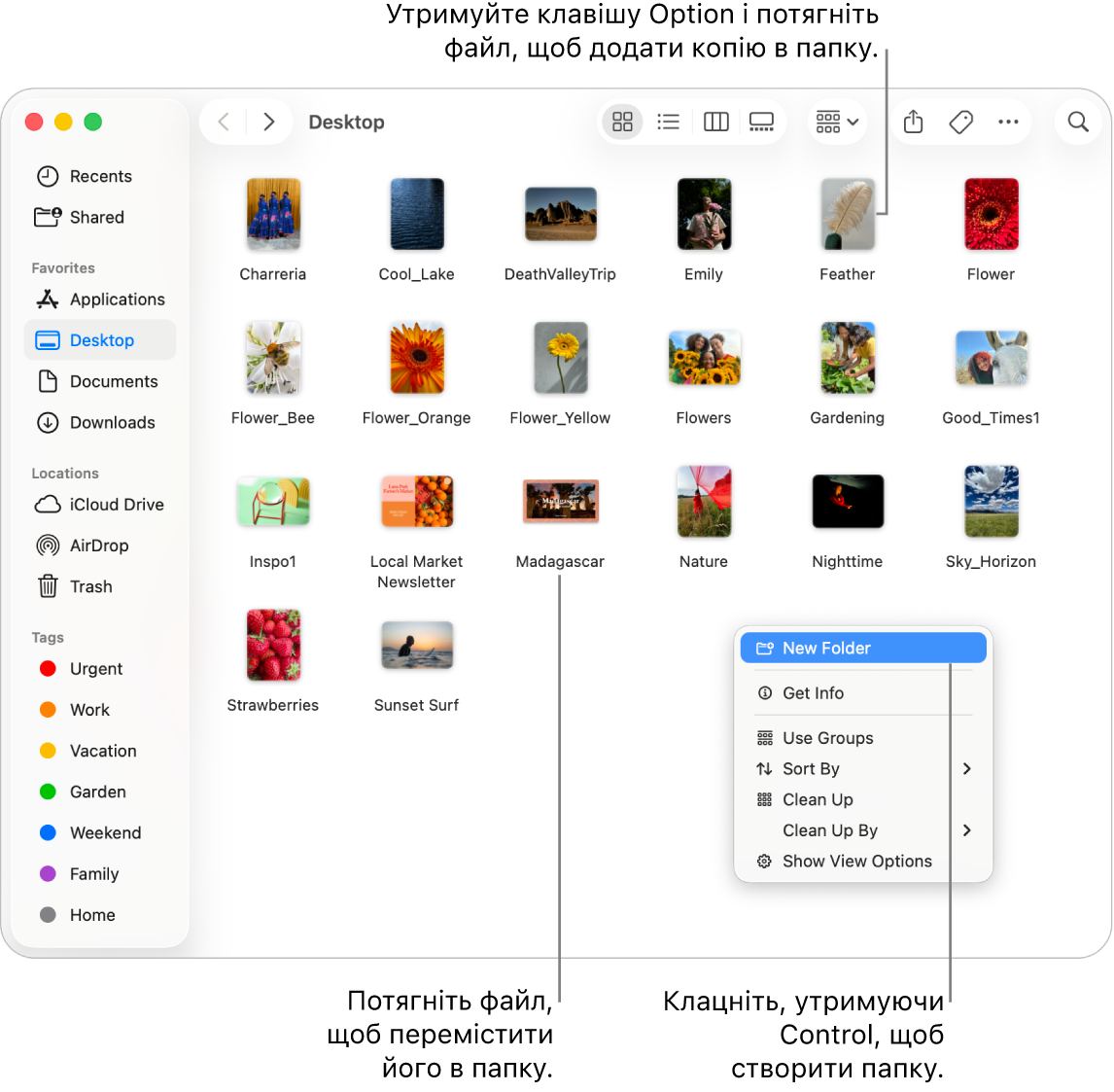 Вікно Finder із файлами та папками. У контекстному меню виділено елемент «Нова папка».