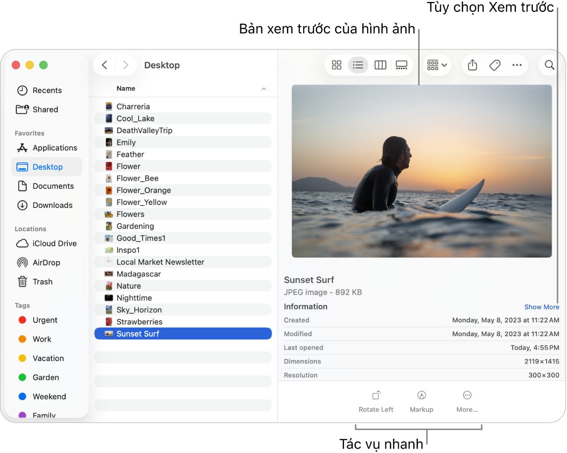 Cửa sổ Finder đang hiển thị thanh bên Finder ở bên trái và một tệp hình ảnh được chọn ở giữa của cửa sổ. Ở bên phải, khung Xem trước hiển thị giao diện hình ảnh, với thông tin chi tiết về hình ảnh ở bên dưới và các nút Tác vụ nhanh ở dưới cùng.