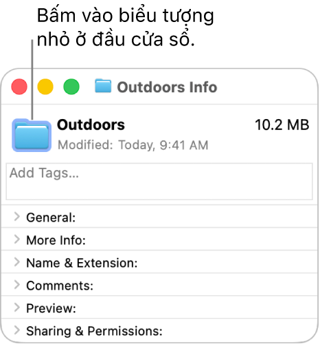 Cửa sổ Thông tin cho thư mục, đang hiển thị biểu tượng chung cho thư mục được chọn.