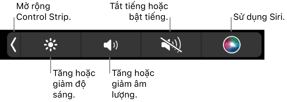 Control Strip được thu gọn bao gồm các nút – từ trái sang phải – để mở rộng Control Strip, tăng hoặc giảm độ sáng màn hình và âm lượng, tắt tiếng hoặc bật tiếng và sử dụng Siri.