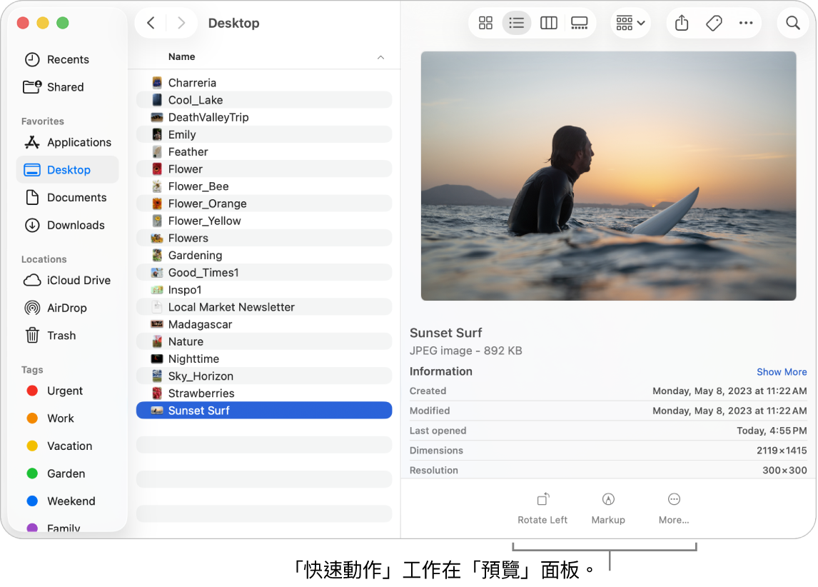 「預覽」面板底部顯示「快速動作」按鈕。