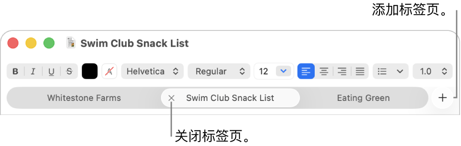 “文本编辑”窗口,标签页栏中有三个标签页,位于格式栏下方。一个标签页显示“关闭”按钮。“添加”按钮位于标签页栏的右端。