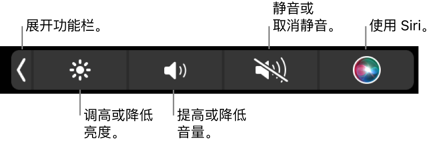 折叠的功能栏包括的按钮从左到右依次为:展开功能栏、增加或减少显示器亮度和音量、静音或取消静音、以及使用 Siri。